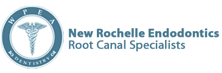 New Rochelle Endodontics